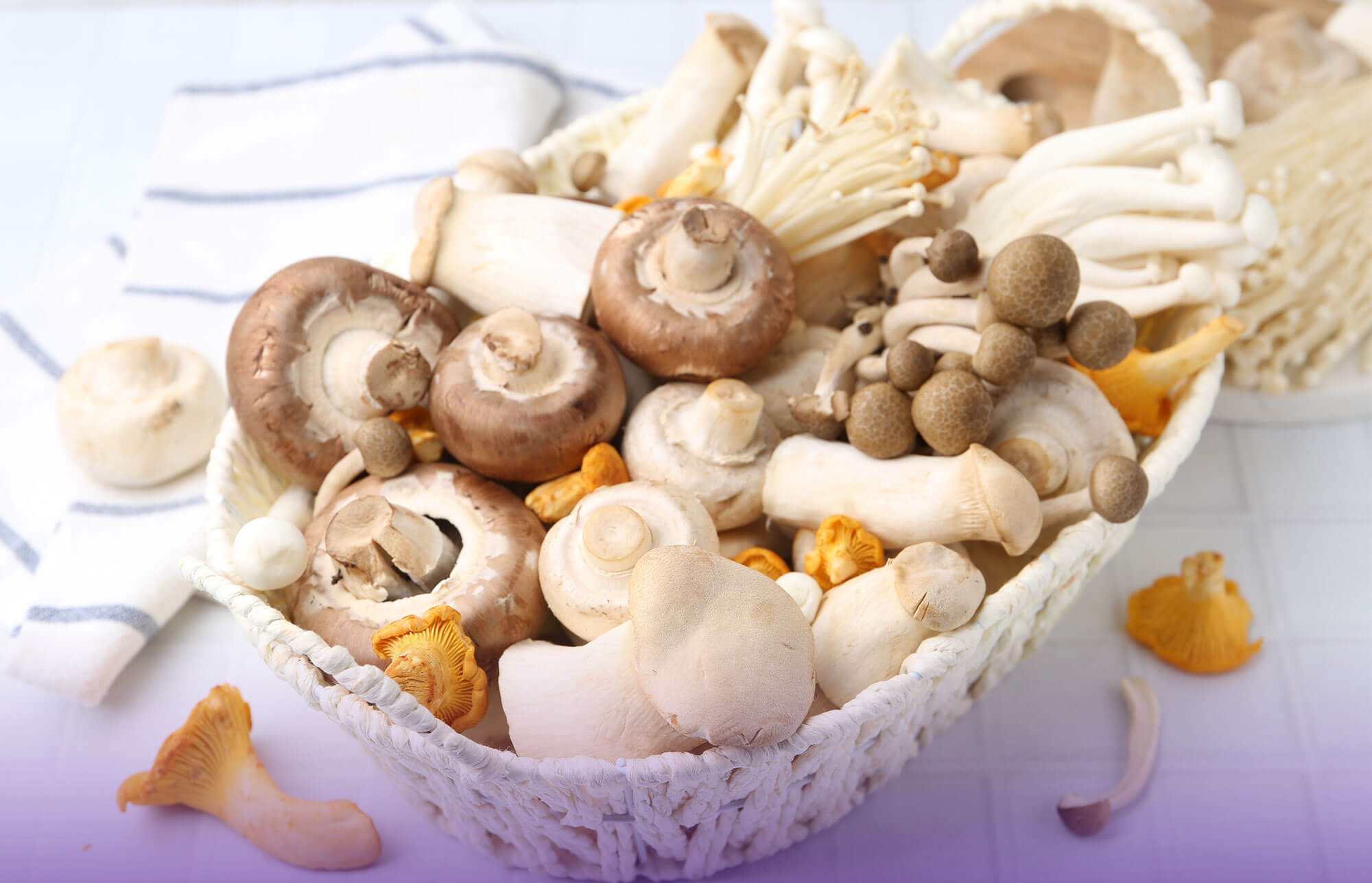 The Rise of Adaptogenic Mushrooms: Nature's Secret for Focus, Energy, and Calm